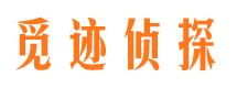 桐梓调查事务所